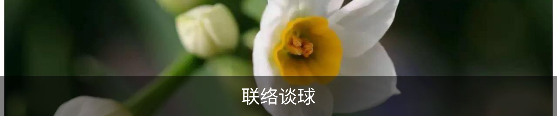 联络谈球